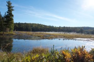 Algonquin